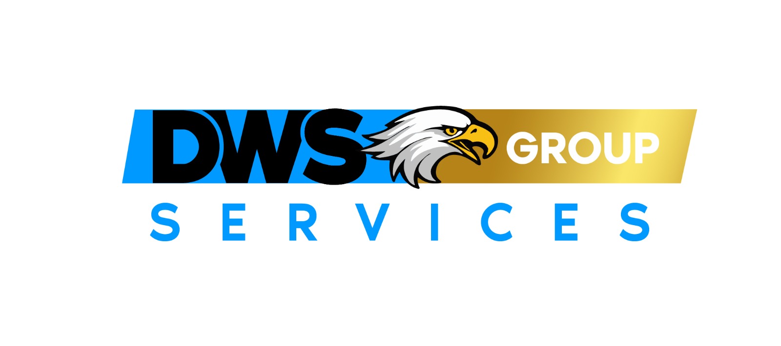 DWS GROUP